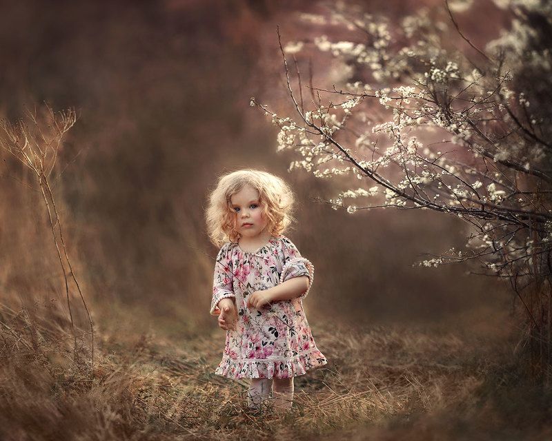 Булкаphoto preview