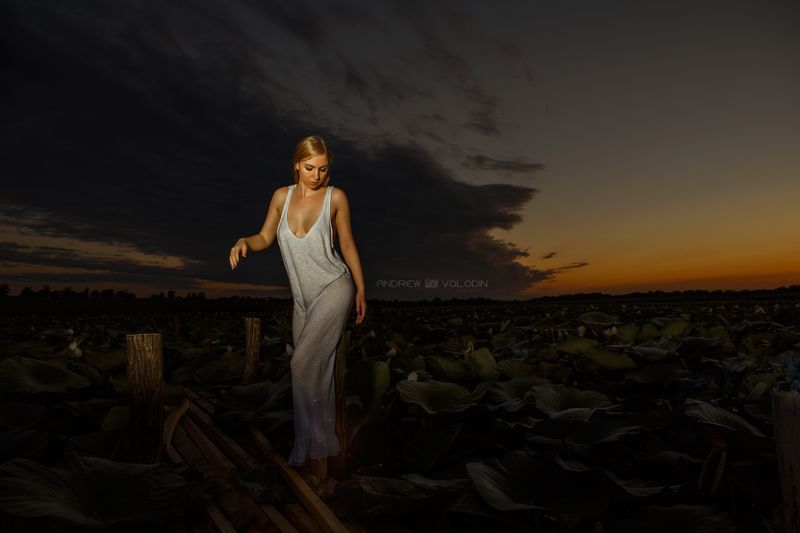 девушка ночь закат озеро лотосы красиво Закат над озером лотосовphoto preview