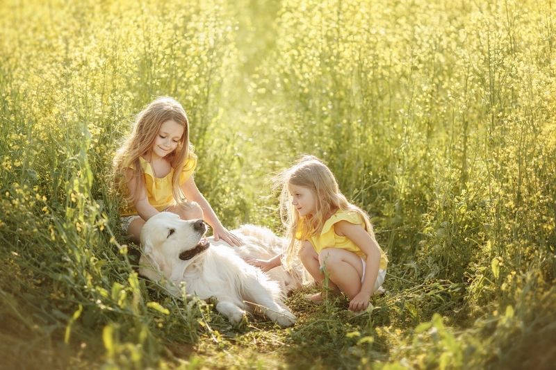 Солнечное настроениеphoto preview