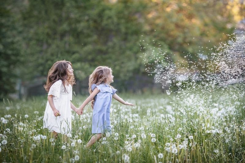 Ловим облако из одуванчиковphoto preview