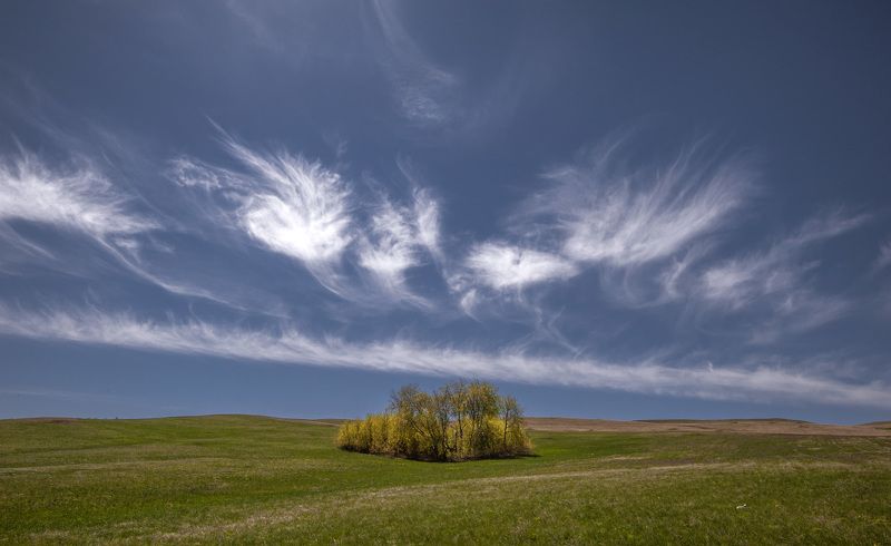 ветер, май, облака, небо, поле, трава, оренбуржье Ветер маяphoto preview