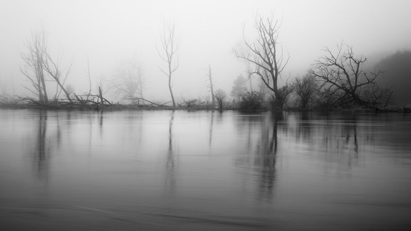 побежденныйphoto preview