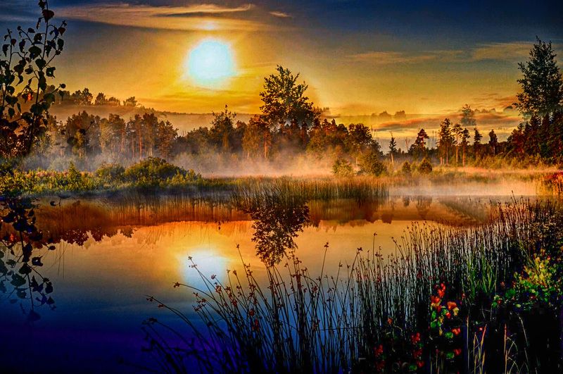 туман Утренний туманphoto preview