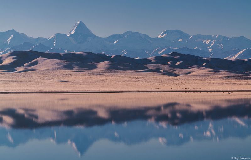тузколь, озеро, тянь-шань, утро, горы, рассвет, осень, пик хан-тенгри, пик победы Осеннее утро на озере Тузкольphoto preview