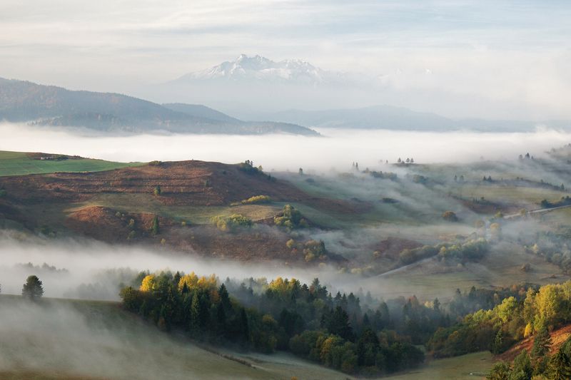 morning,sunrise,sunset,fog,haze,tatras,trees Morning2photo preview