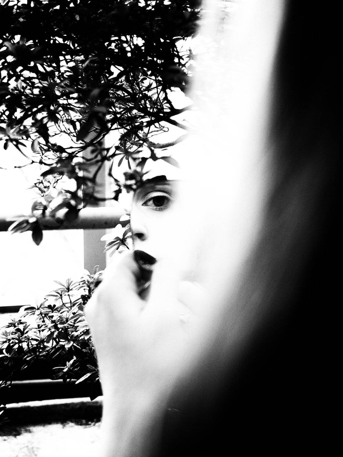 Jardin Noir. Автор: Elena Beregatnova Moscow, Russia, Black and white, Monochrome, Portrait, Reflection, Mirror, Elena Beregatnova