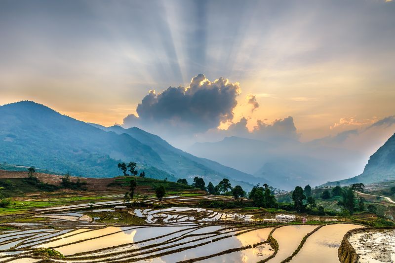 Terracesphoto preview