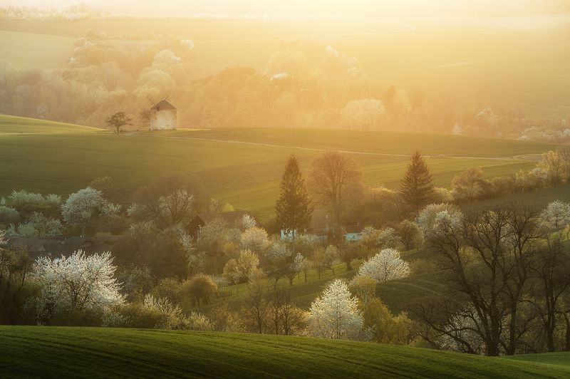 Мельница на холме в закатном солнечном светеphoto preview