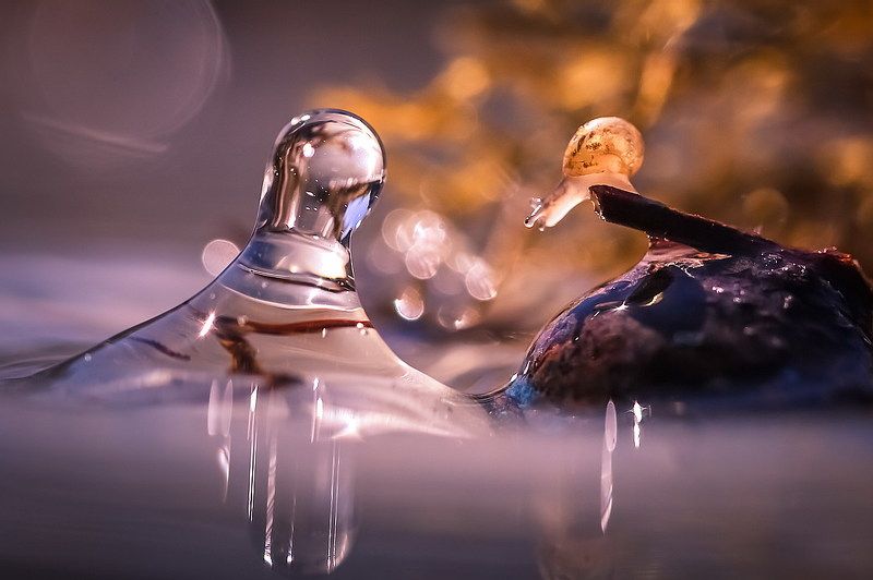 Девятый валphoto preview