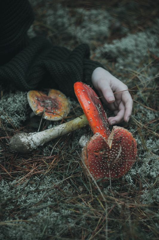 autumn( 2)photo preview