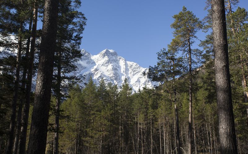 горы, красиво, кавказ Приэльбрусьеphoto preview