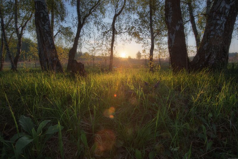 #пейзаж #весна #подмосковье #чехов #красиво #природа #восход #утро  / Утро в подмосковье /photo preview