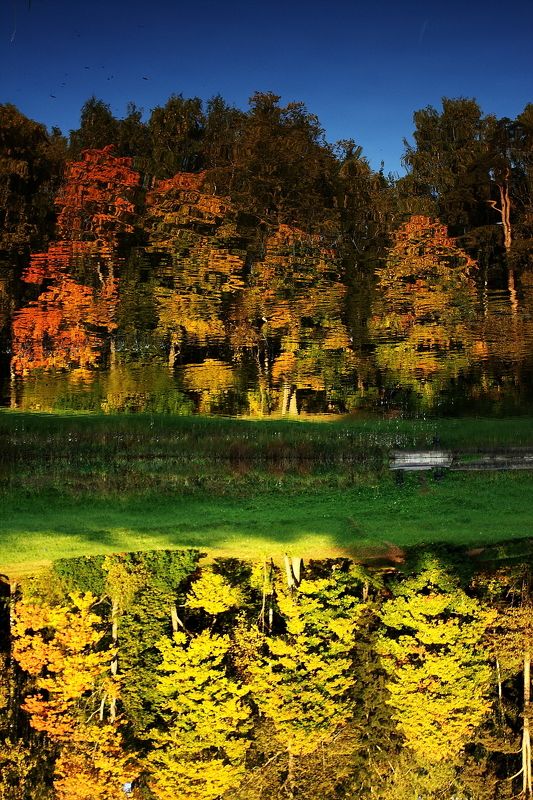 речка, лес, осень, природа, деревья, парк осеньphoto preview