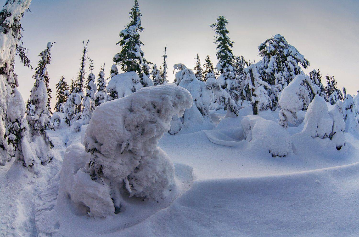 урал, пермский край, Андрей Козлов