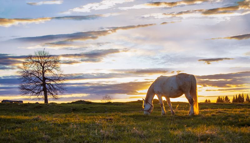 урал, пермский край, закат Ждем закатphoto preview