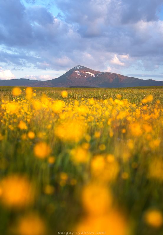 Карпаты, Украина, горы, пейзаж, природа, весна, nature, landscape, mountain, ukraine, carpathians г. Петросphoto preview