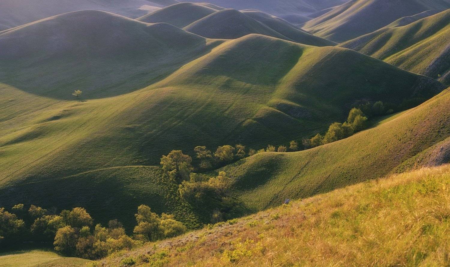 Бархатные изгибы. Автор: Илья Логачёв долгие горы, весна, май, склоны, изгибы, оренбуржье, зелень, трава, бархат, холмы, Илья Логачёв