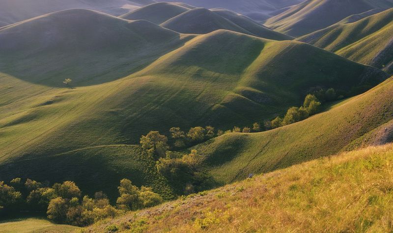 долгие горы, весна, май, склоны, изгибы, оренбуржье, зелень, трава, бархат, холмы Бархатные изгибыphoto preview