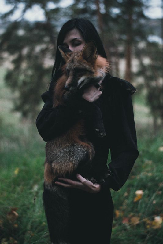 dark and foxphoto preview