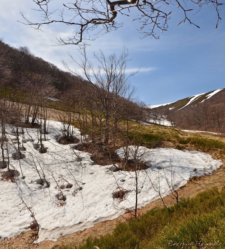 весна, апрель, карпаты, боржава Ещё раз про весну в Закарпатьеphoto preview