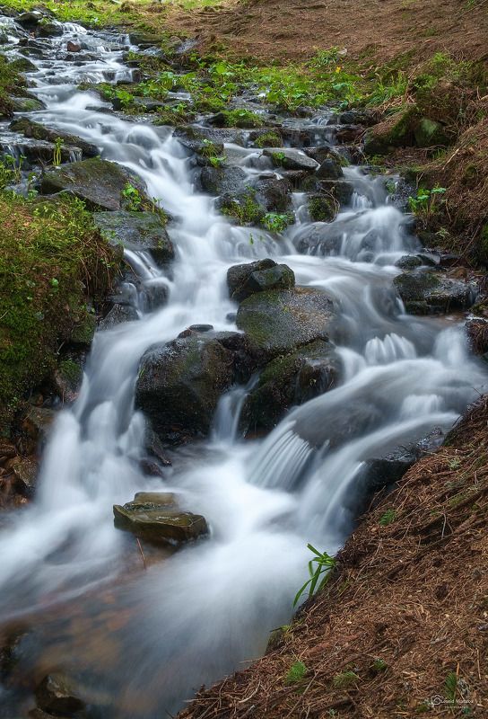 snow., mountain, .glacier.evergreen, .snowfall., ridge, .snowy., slope, .mountain., peak., mountain., range., snowcapped., mt, foraker. *** фото превью