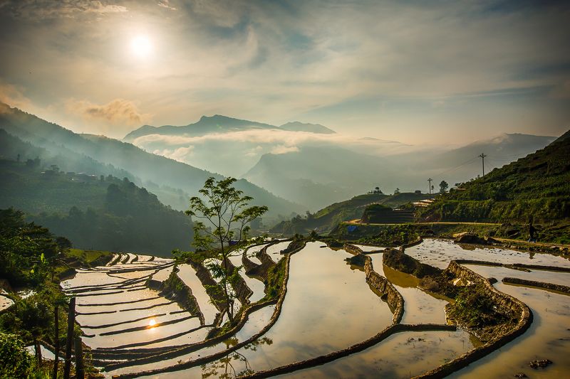 Thien Sinh - Vietnamphoto preview