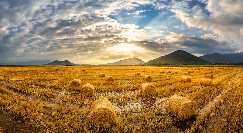 Pham Hung\'s photophoto preview