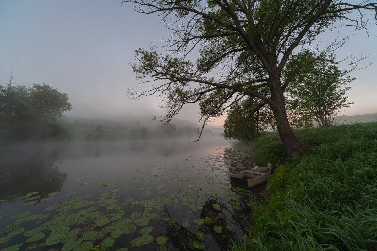 , Олег Логунов