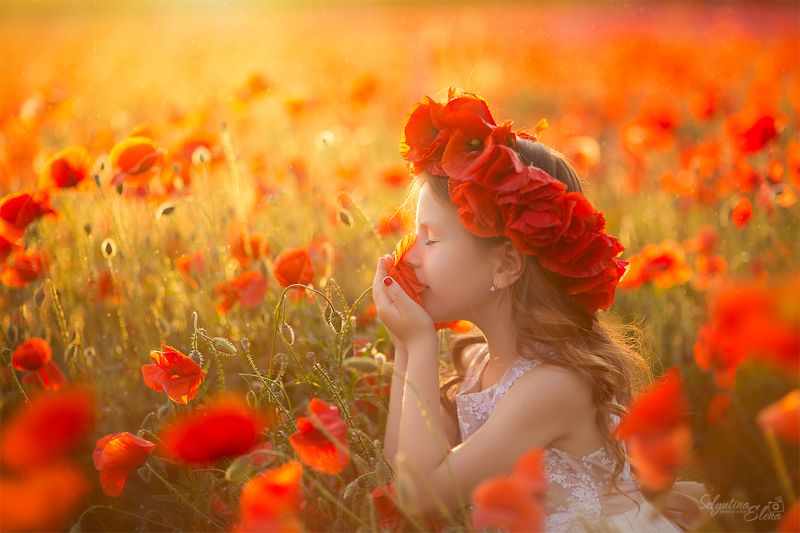 мак маки poppies poppies field маковое поле  Magic poppies / Волшебные маки photo preview