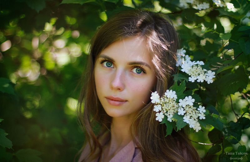 Викаphoto preview