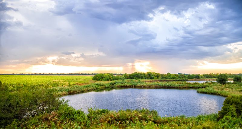 пейзаж,  природа, озеро, рассвет, облака, дерево, фотограф, алматы, фотограф алматы, landscape, dawn, the sun, nature, tree, photographer, аlmaty, amazing, awesome Раннее утроphoto preview