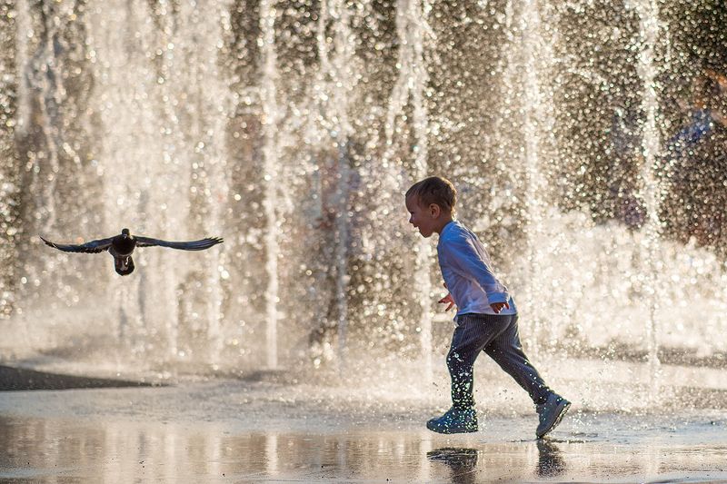 купание в фонтанеphoto preview