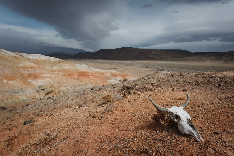 путешествия, чаган-узун, алтай, туризм, исследование, пейзаж, горы, река, хайкинг, марс, сибирь Добро пожаловать на Марсphoto preview