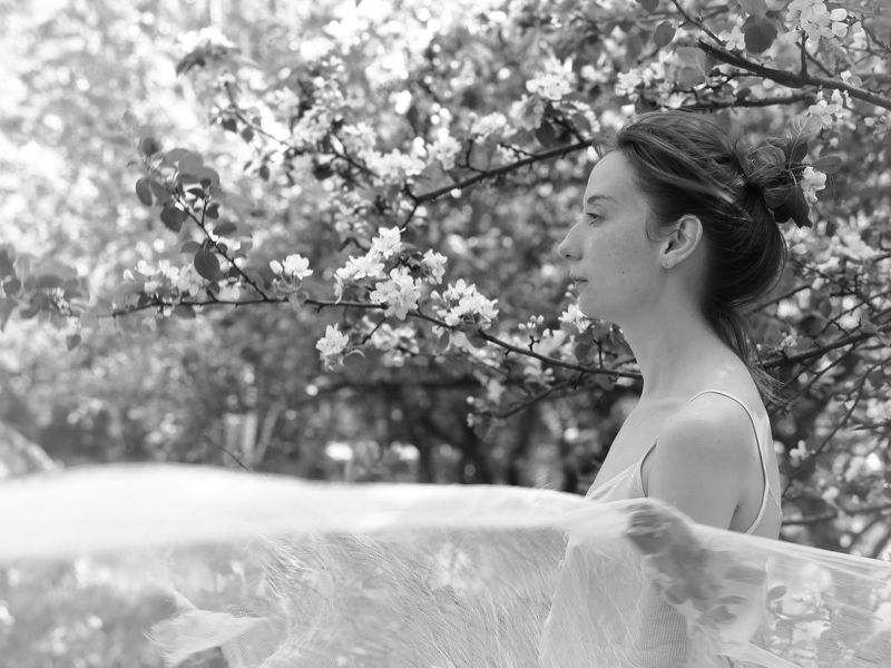 Весенний ветерphoto preview