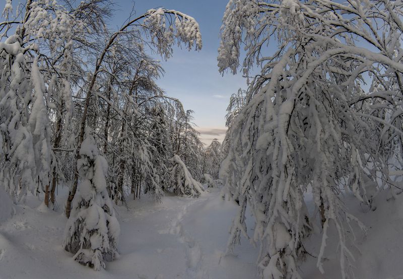 урал, пермский край Зимняя сказкаphoto preview