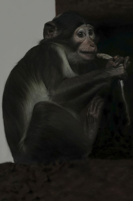 before the stormphoto preview