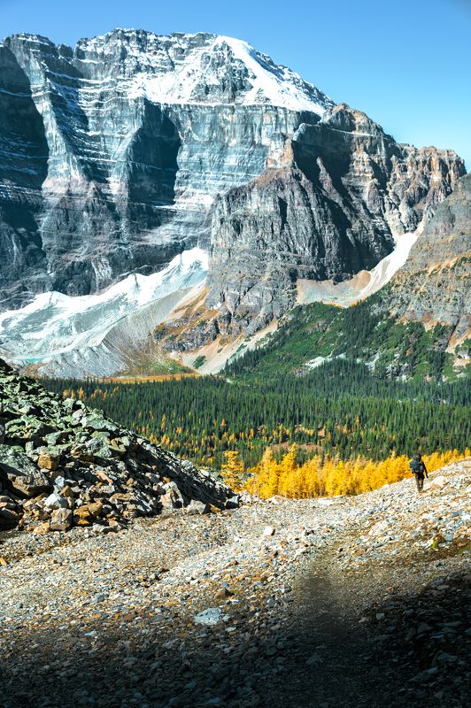 канада, банф, национальный парк, горы, альпинизм, приключения, путешествия, люди и пейзаж, лиственница. лес, отдаленная, райская долина, гора митра, пик, альпийский,canada, banff, national park, mountain, backpacking, adventure, travel, people and landsca To the Paradise Valleyphoto preview