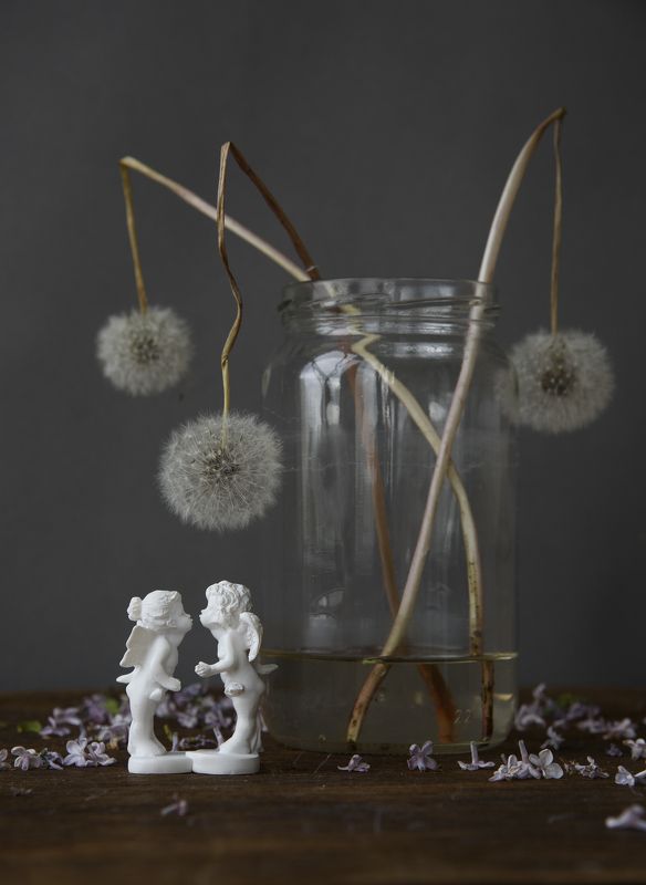 ангелы, одуванчики Ангелы и одуванчикиphoto preview