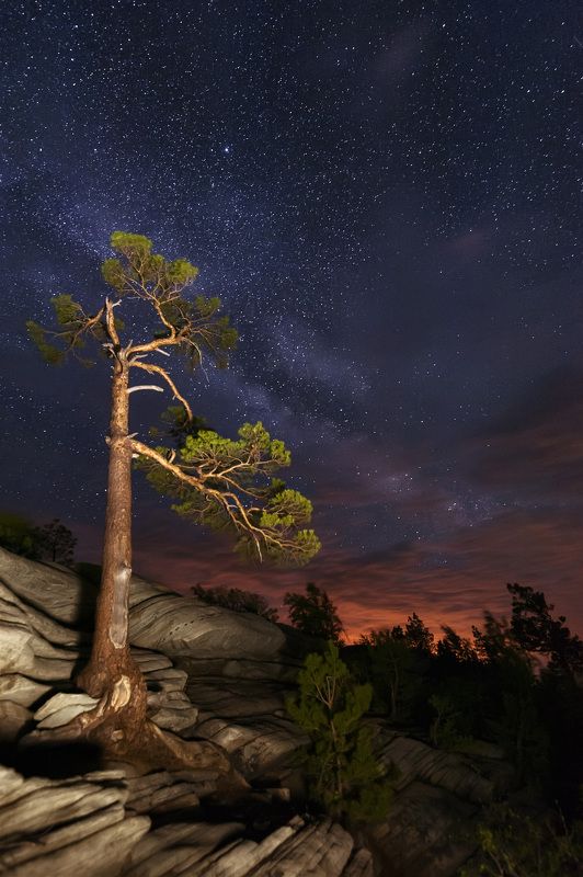 карагай, сара, оренбуржье, дерево, сосна, скала, камни, ночь, млечный путь Карагайская ночьphoto preview
