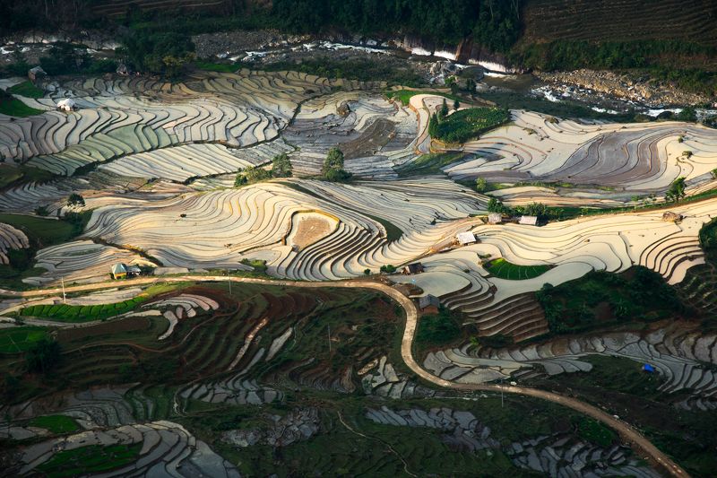 Paintingphoto preview