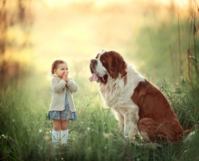 Маленькая девочка и её большой другphoto preview