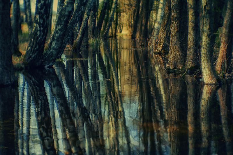 Потерятьсяphoto preview