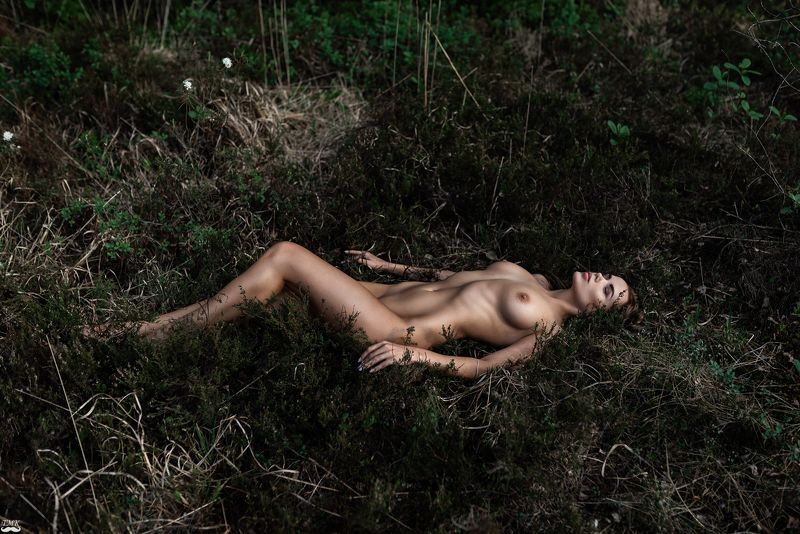 nude, nature, wild, green, body, calm, free, relax, people, soul, woman, female, portrait, style Free Soulphoto preview