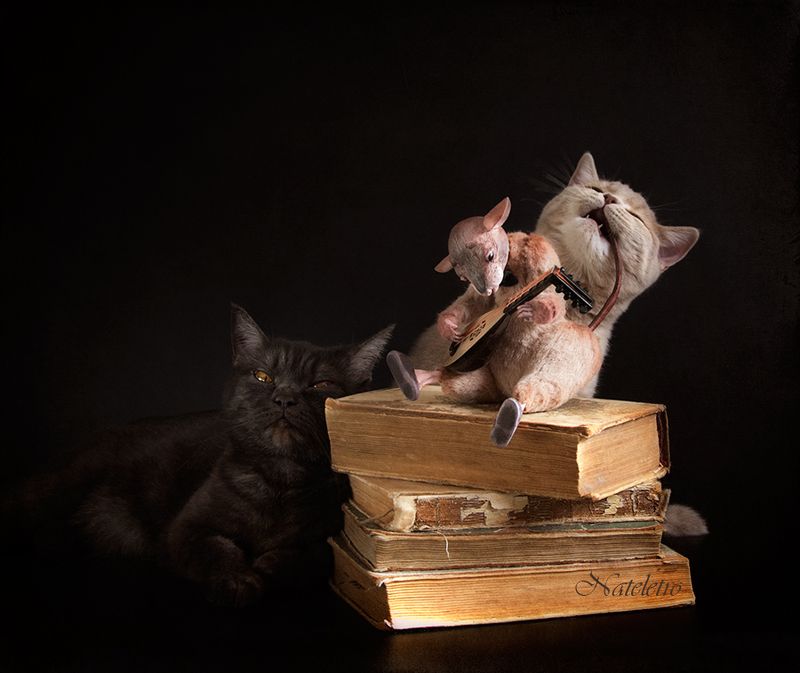 Кошки-Мышкиphoto preview