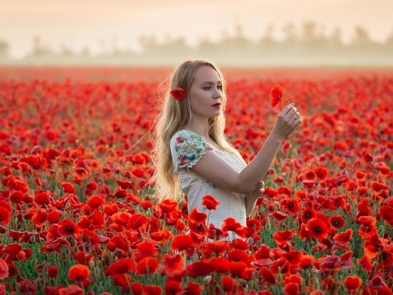 доброе утроphoto preview