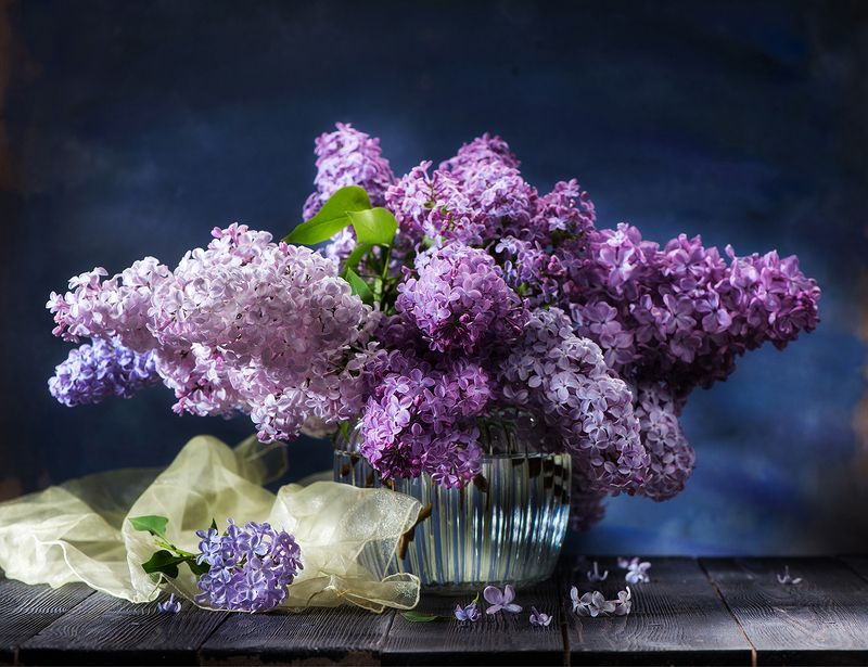 Натюрморт с сиреньюphoto preview