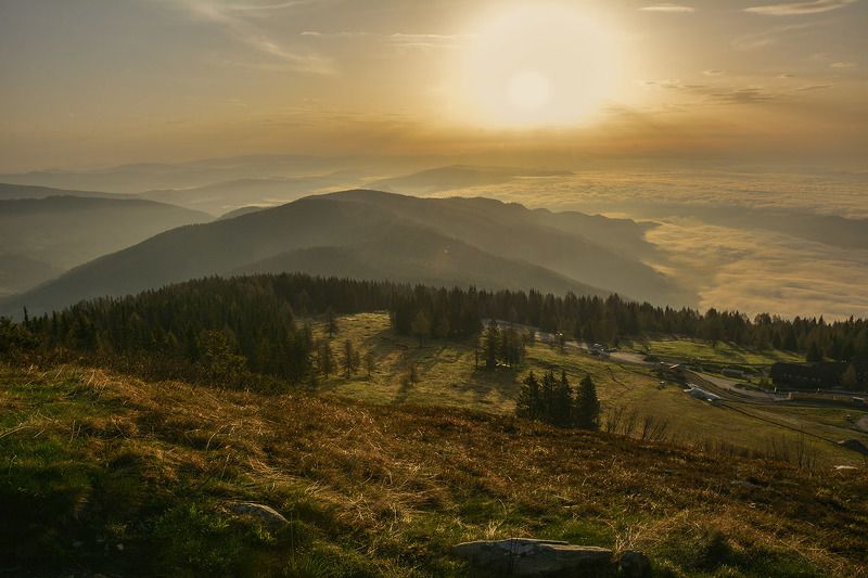 альпы, утро, солнце, тени, туман Развернуть крылья и шагнуть вперед...!photo preview