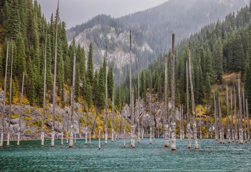 пейзаж,  природа, озеро, облака, лес, горы, непогода, дерево, фотограф, алматы, фотограф алматы, landscape, the sun, nature, tree, photographer, аlmaty, amazing, awesome, forest, the mountains, sunken forest Затонувший лесphoto preview