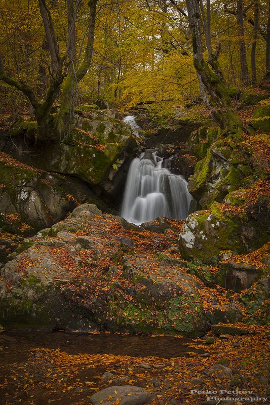 Златна есенphoto preview