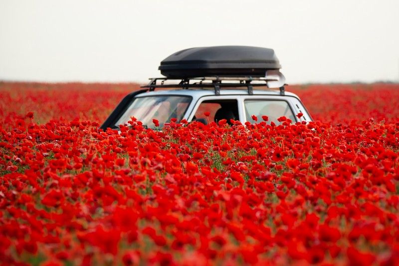 В макахphoto preview